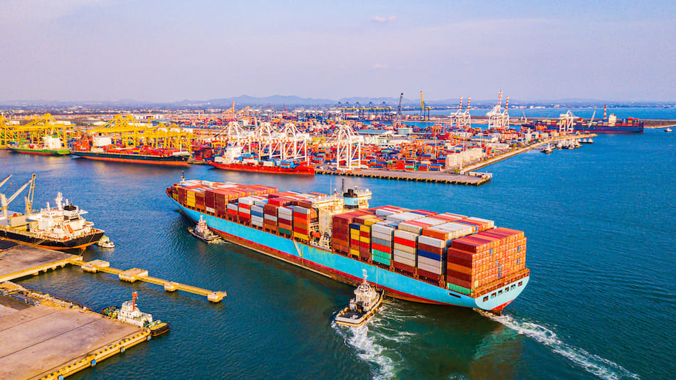 Import & Export Management